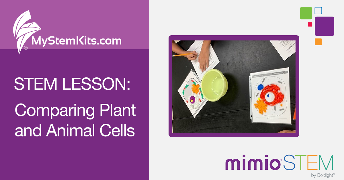 Comparing Animal and Plant Cells-banner