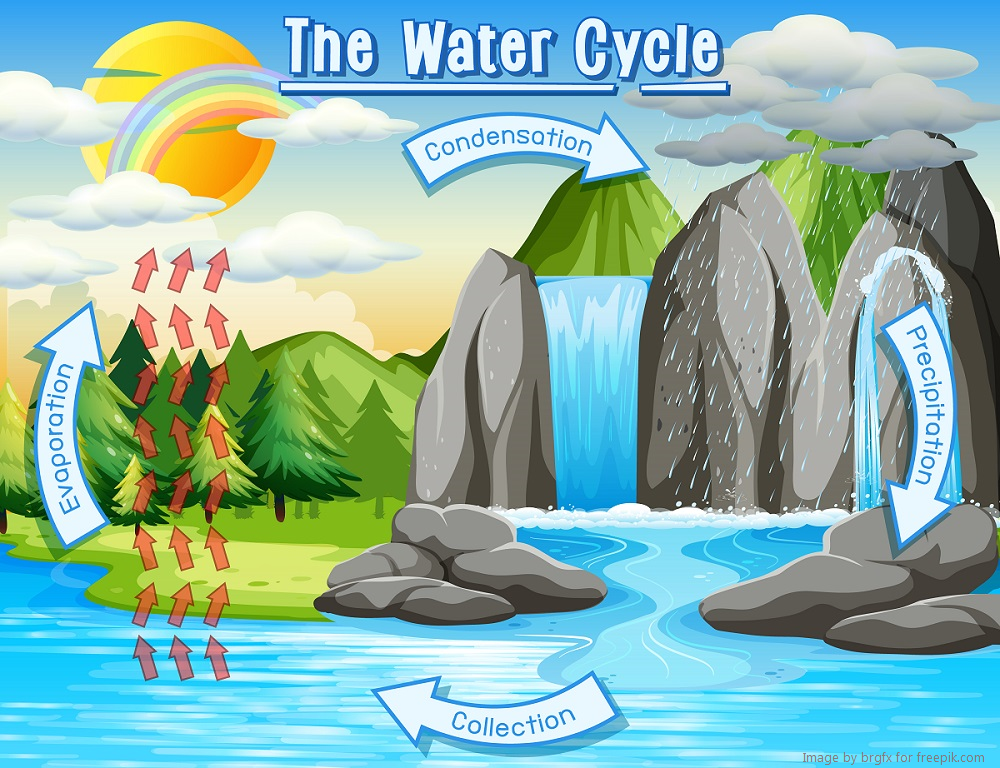 Water Cycle diagram 1000x768