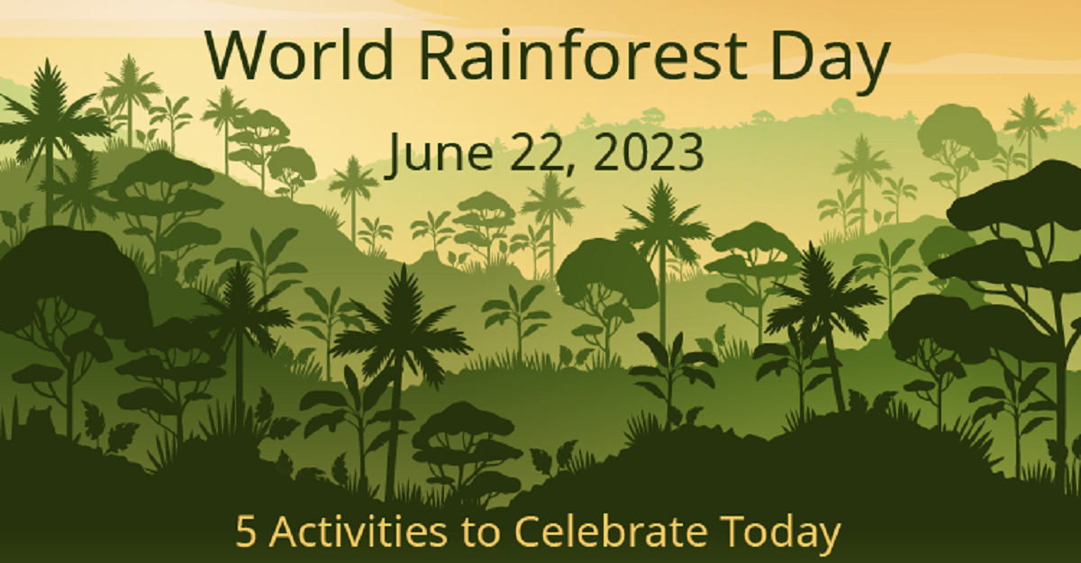 World Rainforest Day 2023